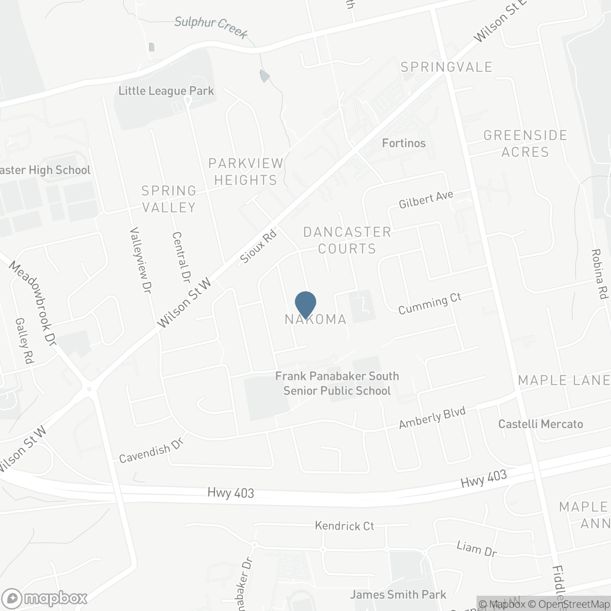 238 SEMINOLE Road, Ancaster, Ontario L9G 1Y9